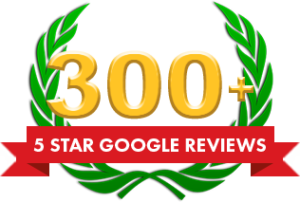 300+ 5-Star Reviews Emblem